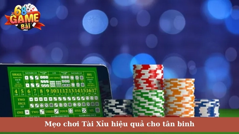 Mẹo chơi Tài Xỉu hiệu quả cho tân binh